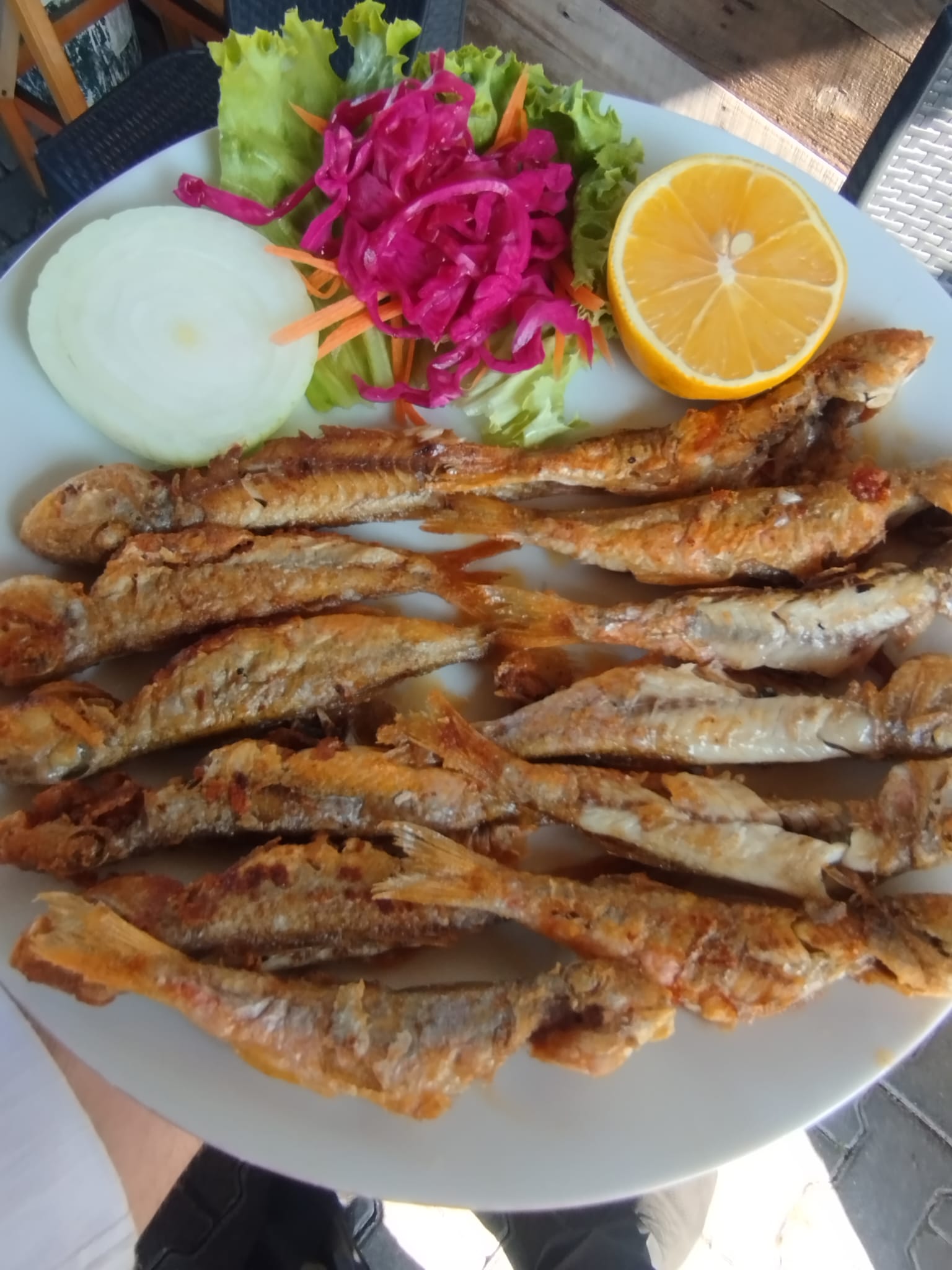 Mevsim Balıkları